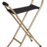 Endurance Folding Seat Cane